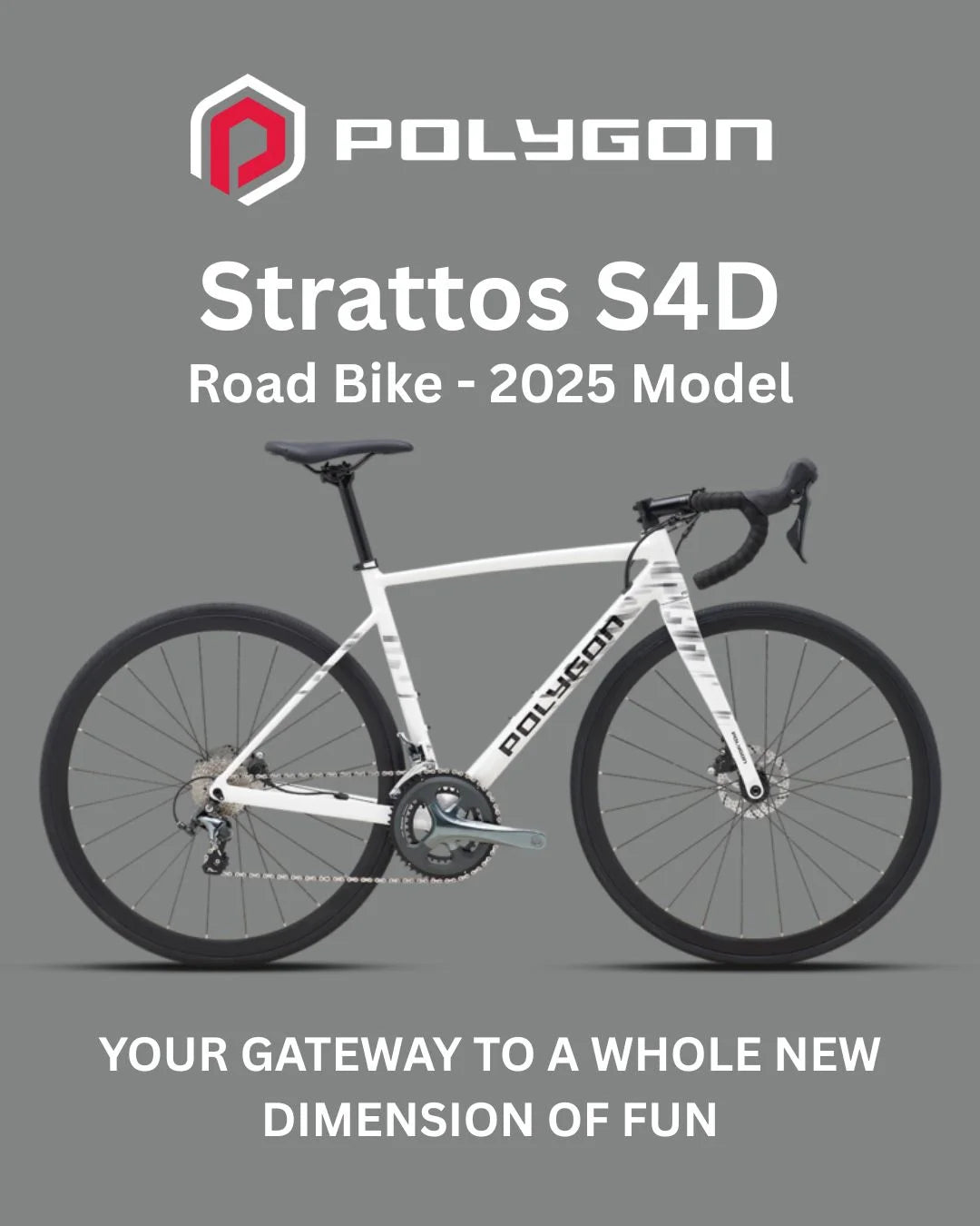 Polygon Stratos S2 Frame Polygon Strattos S2 Bicycles Polygon