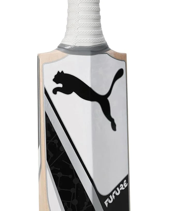 PUMA Future 2.1 Kashmir Willow Cricket Bat