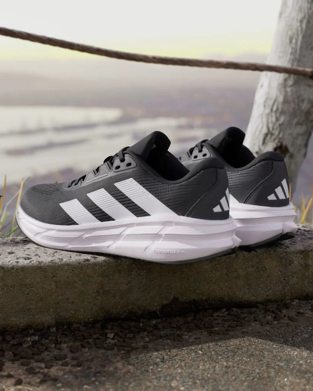 ADIDAS Questar 3 Men Running Shoes on triQUIP Sports
