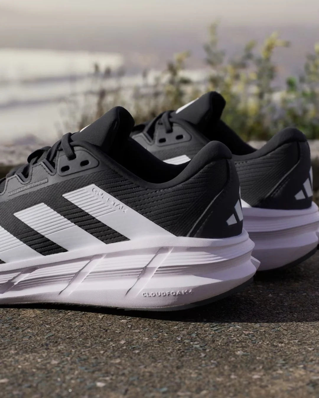 ADIDAS Questar 3 Men Running Shoes on triQUIP Sports