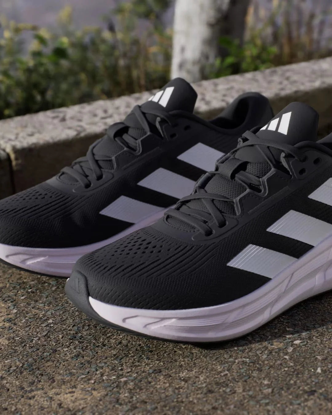 ADIDAS Questar 3 Men Running Shoes on triQUIP Sports