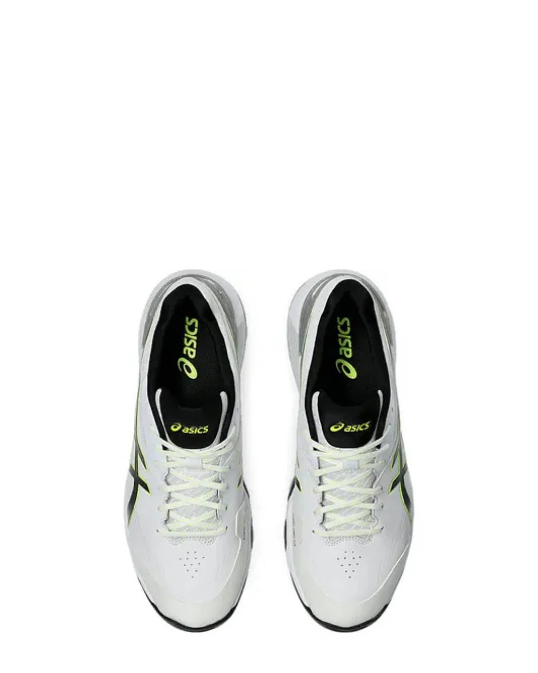 ASICS 350 Not Out FF Men Cricket Shoes on triQUIP Sports