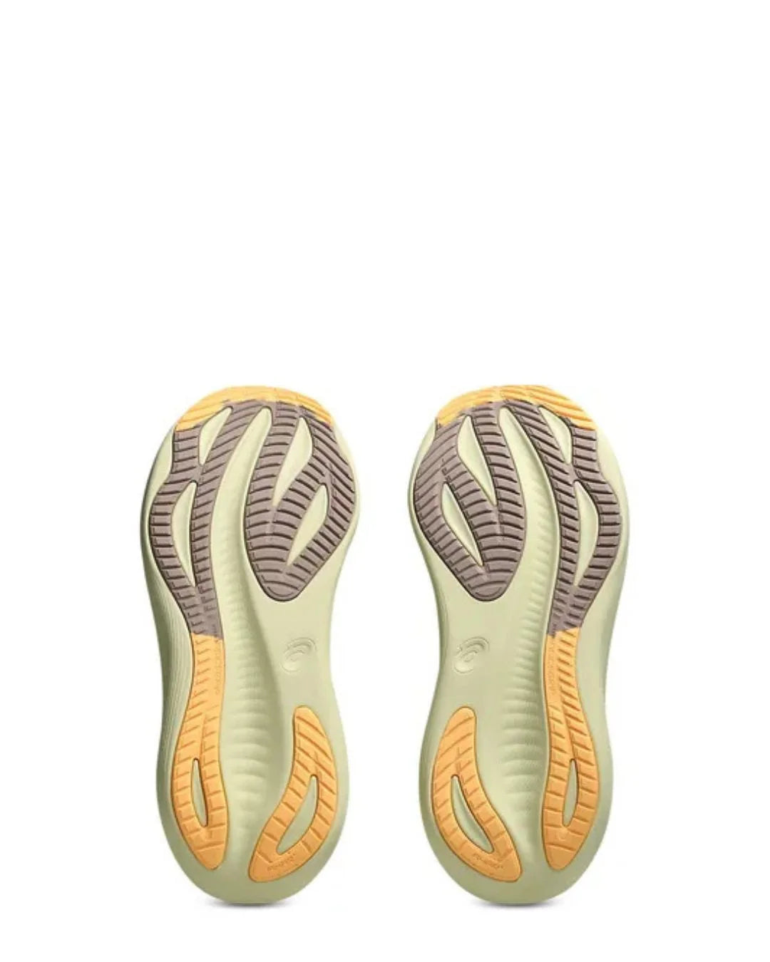 ASICS Gel Nimbus 27 Men Running Shoes on triQUIP Sports