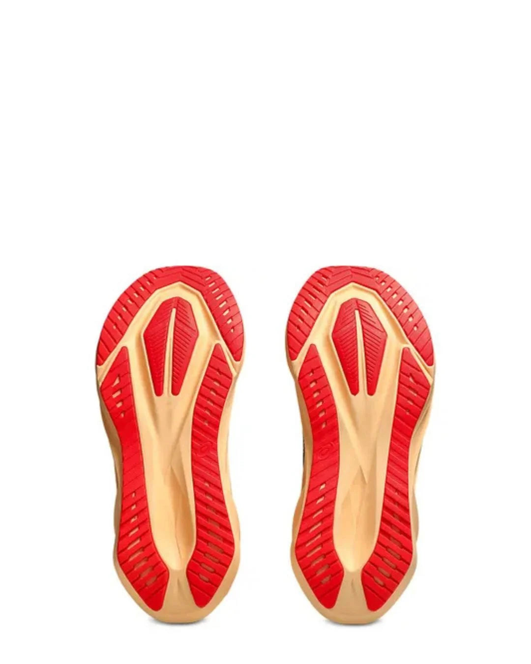 ASICS Novablast 5 Men Running Shoes on triQUIP Sports