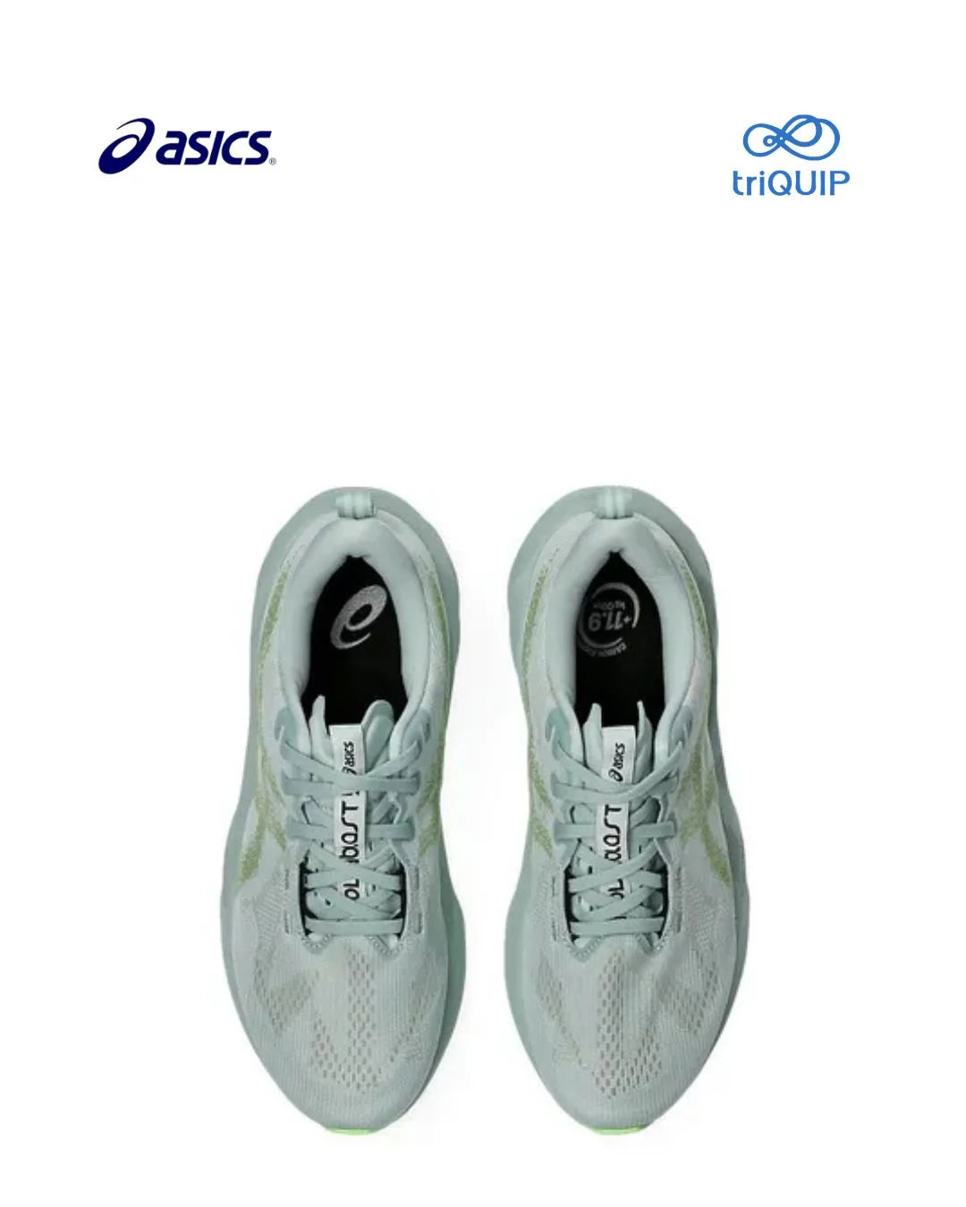 ASICS Novablast 5 Men's Running Shoes on triQUIP Sports