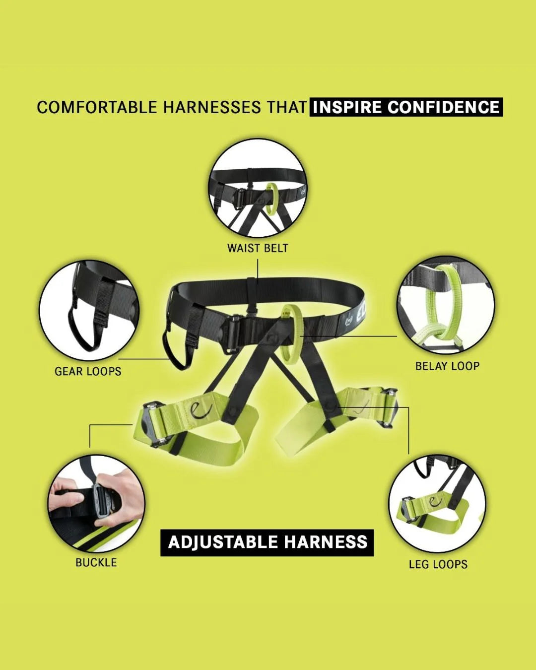 EDELRID Joker II Harness on triQUIP Sports