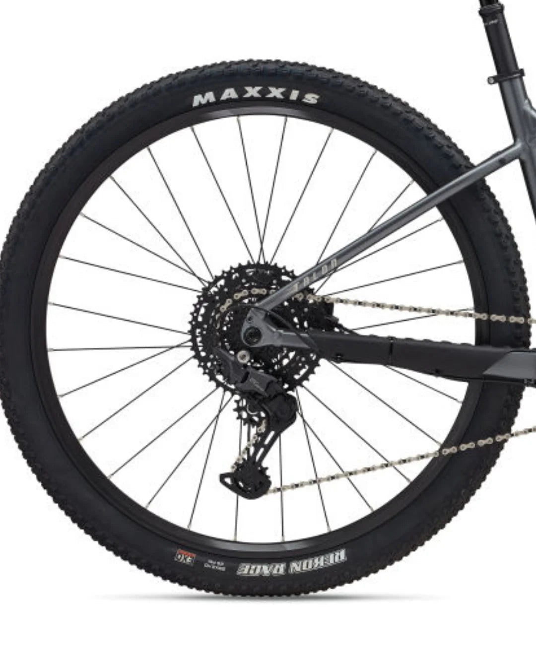 GIANT Talon 1 Hardtail Mountain Bike (2025) on triQUIP Sports