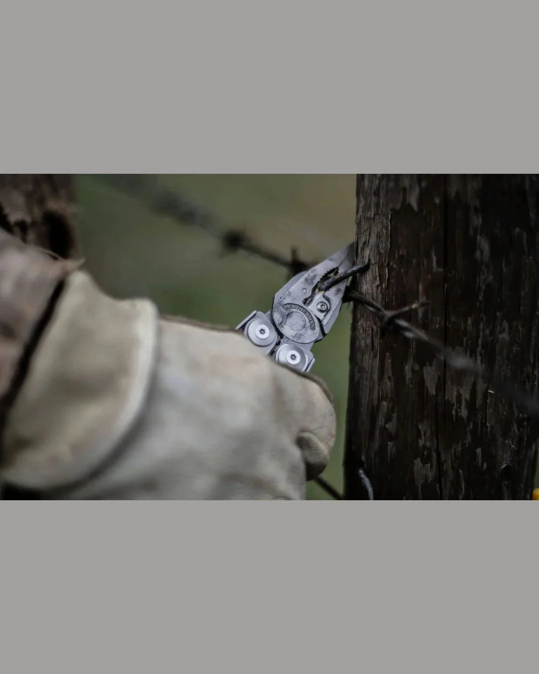 LEATHERMAN Surge Multipurpose Tool - 21 Tools on triQUIP Sports