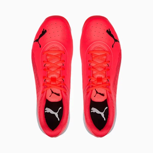 Puma Cricket Shoes on triQUiP Sports