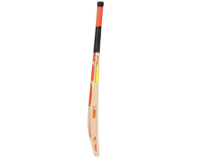 Puma Cricket Bat on triQUIP Sports