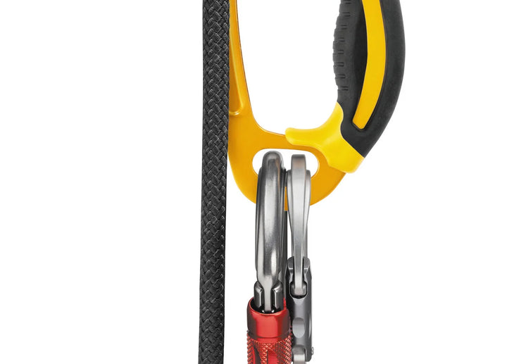 Petzl Ascender on triQUIP Sports