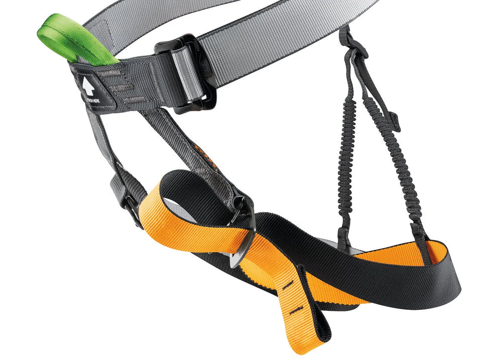 Petzl Gym Harness on triQUIP Sports