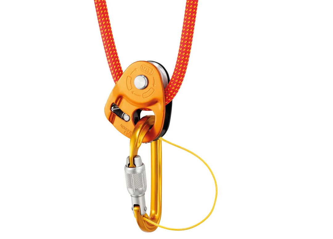 Petzl Ascender on triQUIP Sports