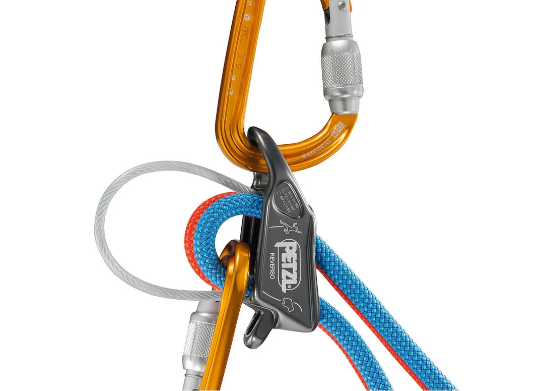 Petzl Rappel Device on triQUIP Sports