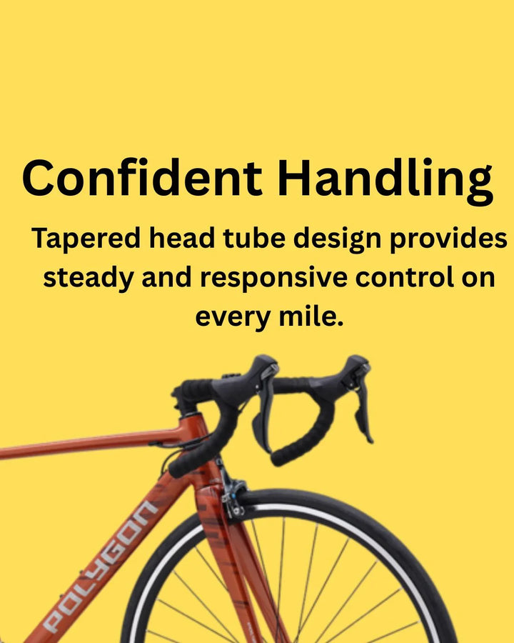 POLYGON Strattos S4 Road Bikes 2025 on triQUIP Sports