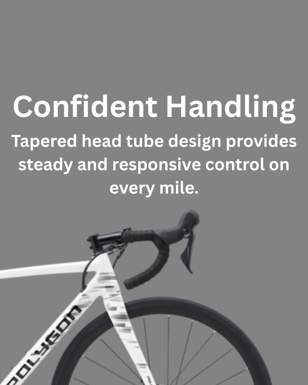 POLYGON Strattos S4D Road Bikes 2025 on triQUIP Sports