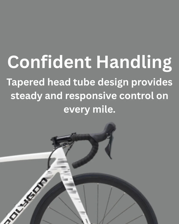 POLYGON Strattos S4D Road Bikes 2025 on triQUIP Sports