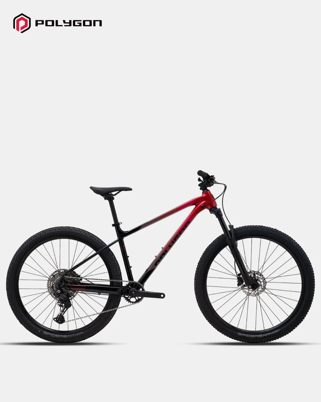 POLYGON Xtrada Cross-Country Trail Bike (2025) – triQUIP Sports