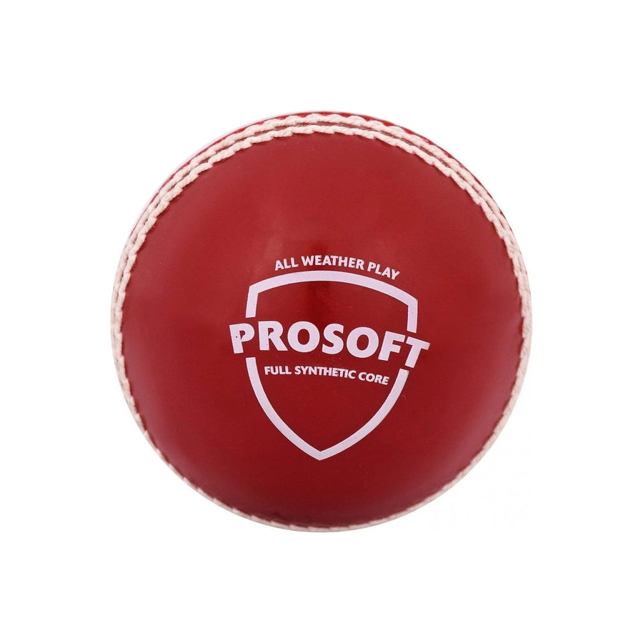 SG Cricket Ball on triQUIP Sports