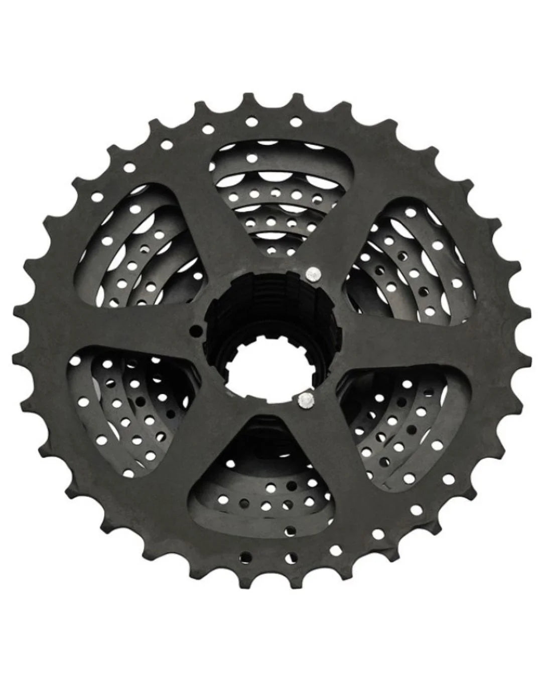 SHIMANO CS-HG31-8, 8-speed Cassette on triQUIP Sports