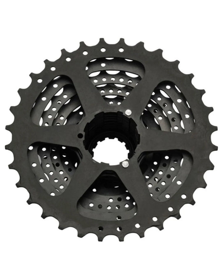 SHIMANO CS-HG31-8, 8-speed Cassette on triQUIP Sports