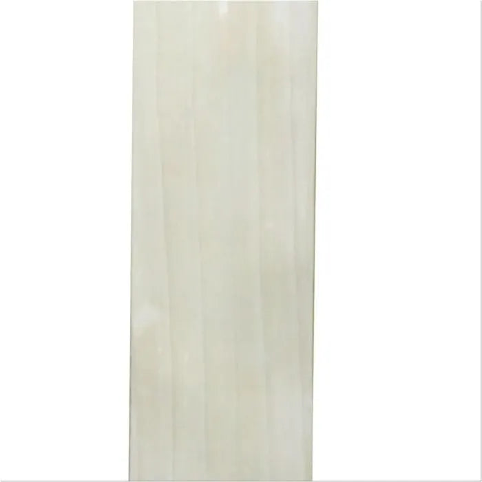 SS Cricket Bat on triQUIP Sports