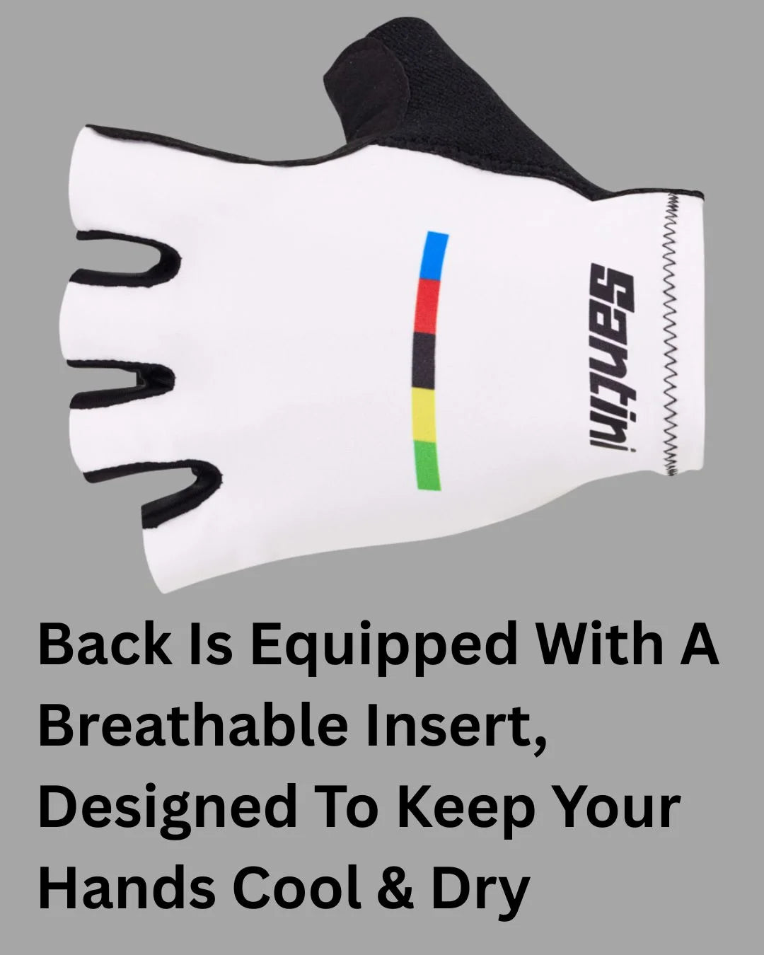 SANTINI UCI Official World Champion Cycling Gloves on triQUIP Sports