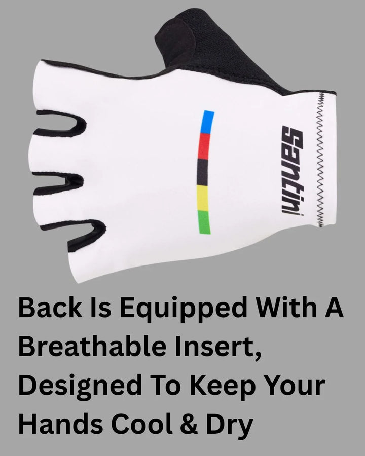 SANTINI UCI Official World Champion Cycling Gloves on triQUIP Sports
