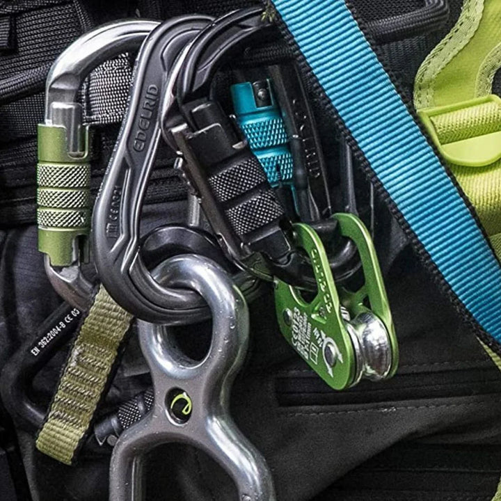 Edelrid Steel Oval Screw locking carabiner on triQUIP Sports