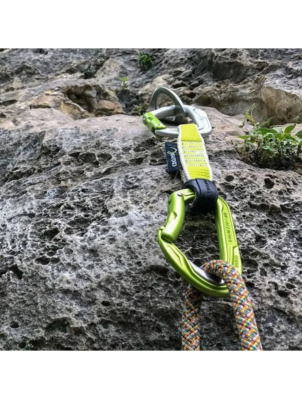 Edelrid Bulletproof Straight Standard Carabiner on triQUIP Sports